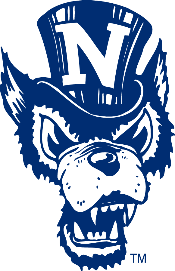 Nevada Wolf Pack 1979-1993 Alternate Logo diy DTF decal sticker